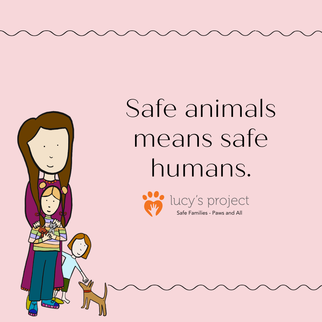 companion-animals-mental-health-lucy-s-project